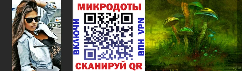 Галлюциногенные грибы прущие грибы  Ессентуки 